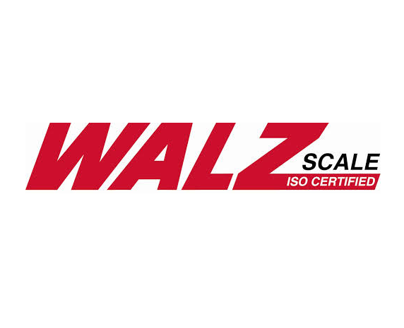 seo examples content strategy case study with Walz Scale