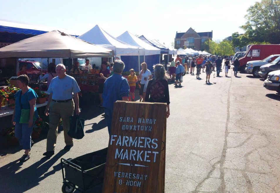 Sara Harding Farmers Market Activities in Traverse City