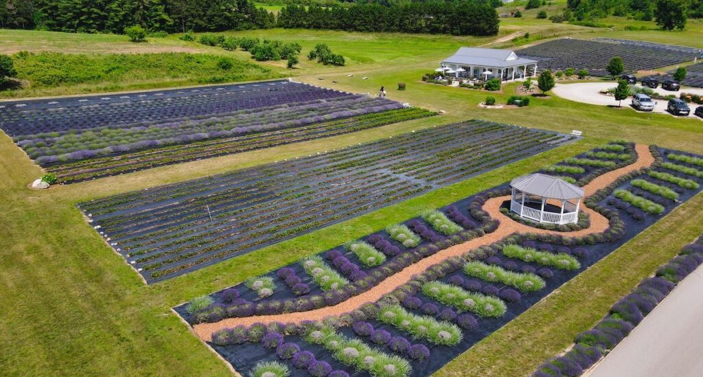 Bry’s Secret Garden Lavender Farm Activities in Traverse City MI